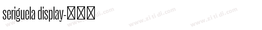 seriguela display字体转换